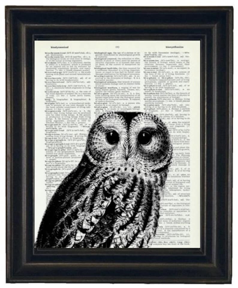 Owl Print Owl Art Print Owl Decor Owl Head Dictionary Book Page Print 8 x 10 Black image 1