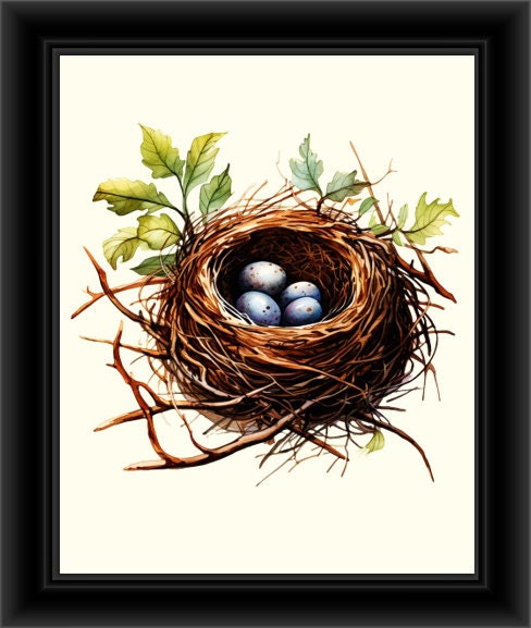 スネーク Nest Prints, Bird Nest Prints, Bird Nest Theme, Set of 4