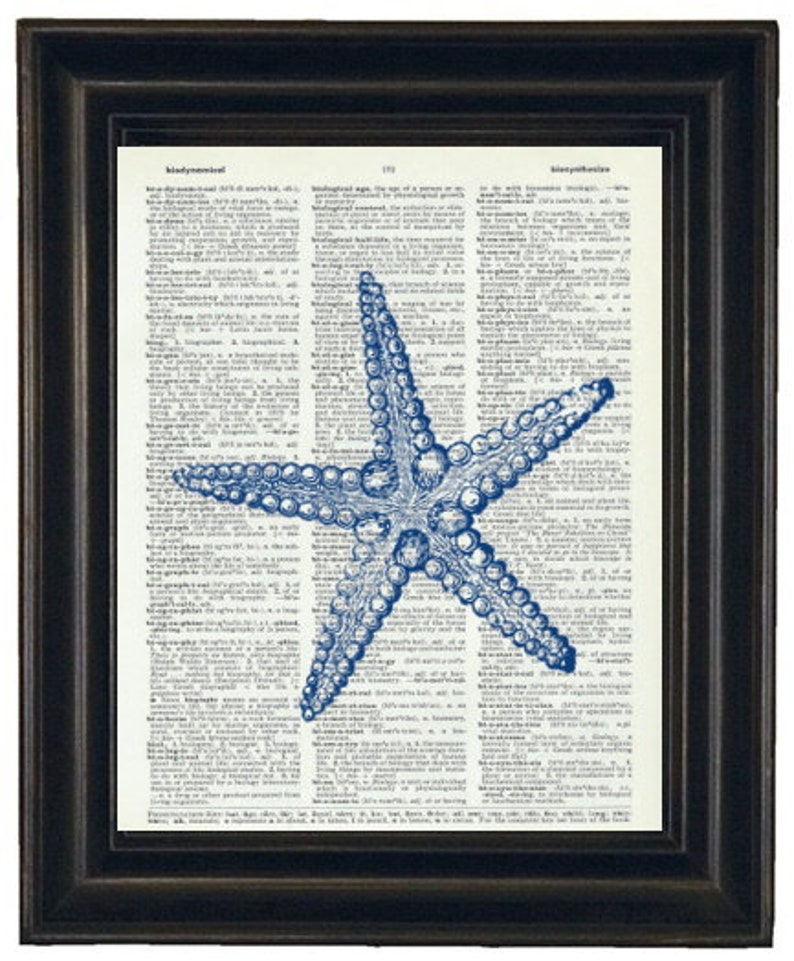 May include: A blue starfish illustration printed on a vintage dictionary page. The page features text from a dictionary entry for the word "incomprehensible".