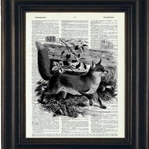 Fox Art Print, Fox Print,  Dictionary Prints Dictionary Art Upcycled Art Book Page Fox on Vintage Dictionary Book Page 8 x 10