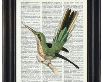 Hummingbird Print, Hummingbird Wall Art, Hummingbird Art Print, Hummingbird Gift, Bird Art Prints, Bird Wall Art