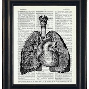 Anatomy Wall Art Prints Dictionary Art Prints Lung Art