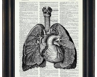 Anatomy Wall Art Prints Dictionary Art Prints Lung Art