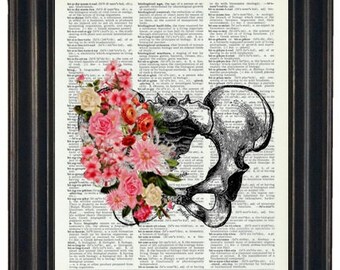 Pelvis Art Print HHP Original Design, Pelvis with Pink Flowers, Dictionary Art Print Vintage Dictionary Book Page Print