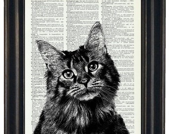 Cat Print Art Upcycled Art Book Print of Cat on Vintage Dictionary Book Page 8 x 10