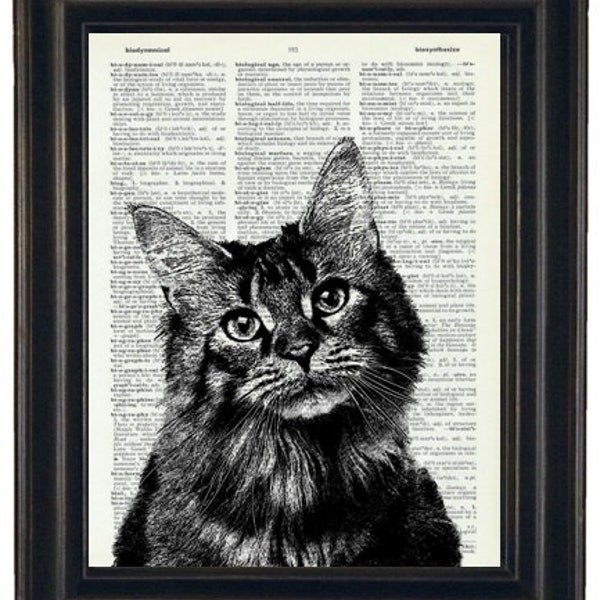 Cat Print Art Upcycled Art Book Print of Cat on Vintage Dictionary Book Page 8 x 10
