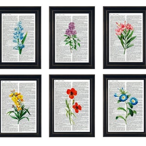 Dictionary Prints, Set of Flower Prints, Flower Prints, Dictionary Artwork, Flower Botanical Prints, Set of 6 Botanical Prints