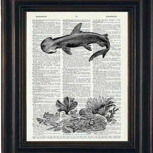 Shark Print, Shark Art,  Shark Week Sea Life Art Print Ocean Art, Dictionary Print Shark Art Print Wall Art A HHP Original Design 8 x 10