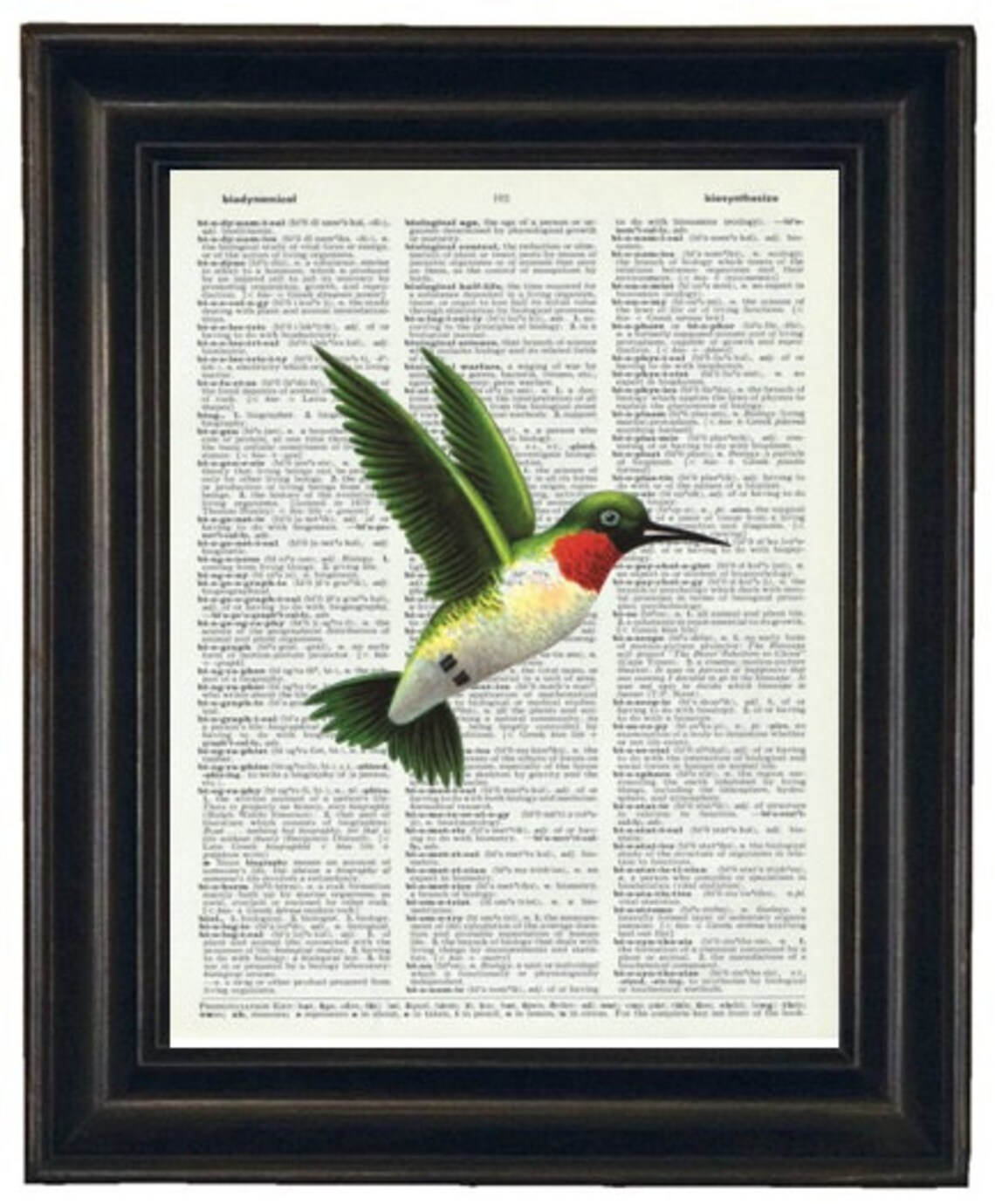 Blue Bird Print Dictionary Art Print Bird Dictionary Art Print Etsy