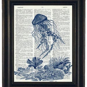 May include: A blue jellyfish illustration on a vintage dictionary page with the word "sophisticate" visible. The jellyfish is surrounded by blue seaweed and starfish.