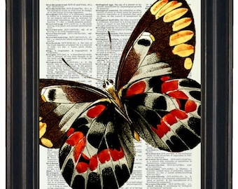 Dictionary Art Butterfly Image Vintage Dictionary Book Page Print Upcycled Art Prints