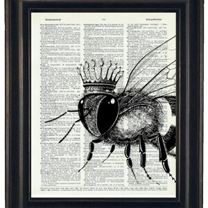 May include: Black and white illustration of a bee wearing a crown on a vintage dictionary page. The bee is facing the viewer with its wings spread out. The text on the page is blurry.
