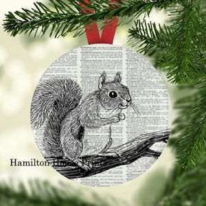 Squirrel Ornament, Squirrel Christmas Ornament, Squirrel Gift, Christmas Ornament,