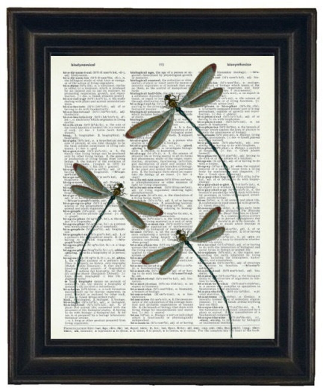 Dragonfly Art Print, Dragonfly Dictionary Art, HHP Original, Dragonfly ...