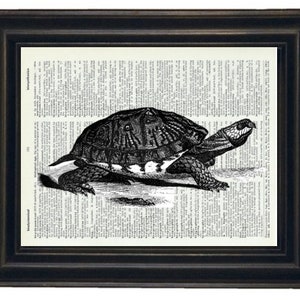 Turtle Print, Turtle Art, Turtle Dictionary Print, Turtle Wall Art