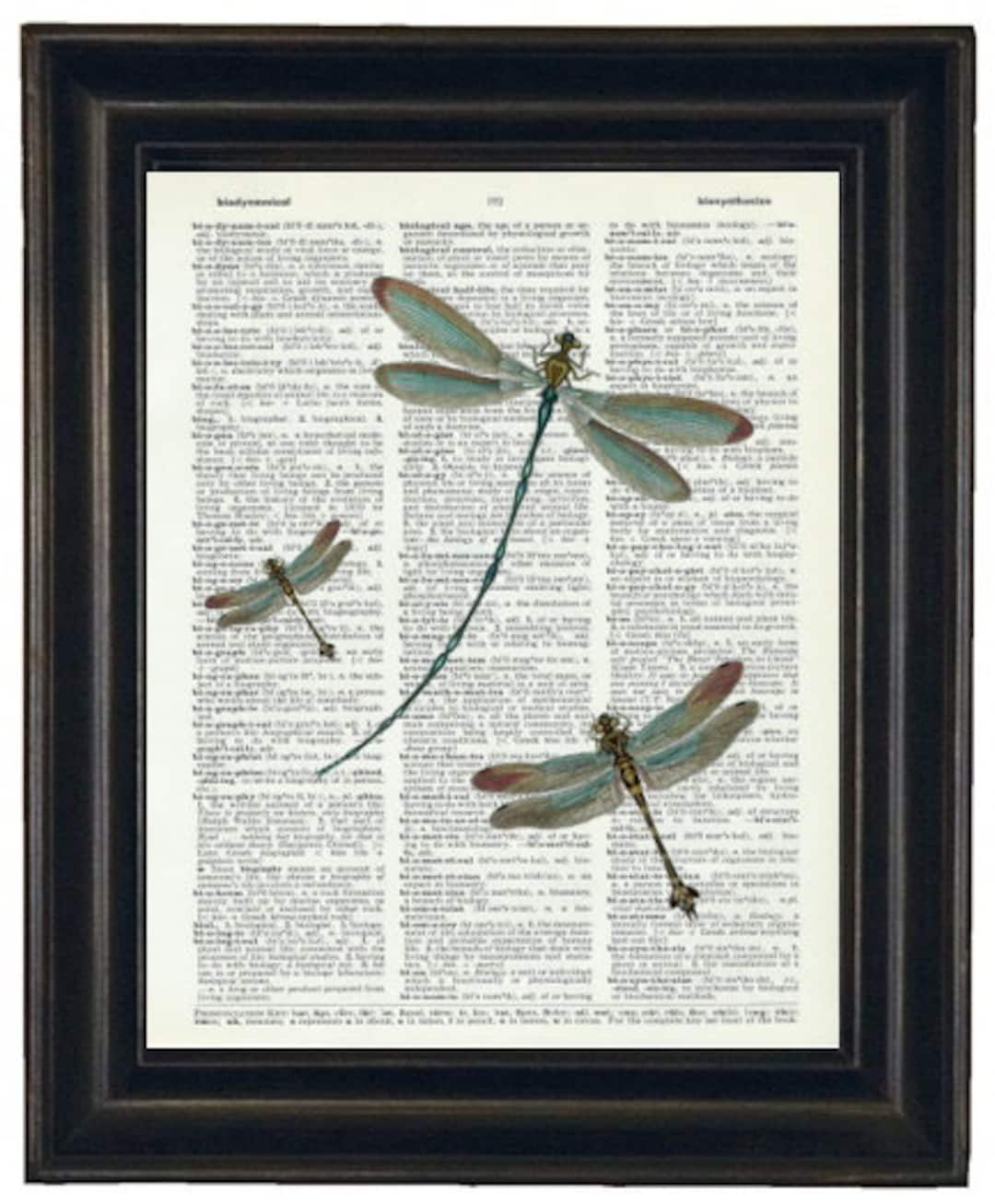 Dragonfly Art, Dictionary Art Print Dragonflies Dictionary Print Book ...
