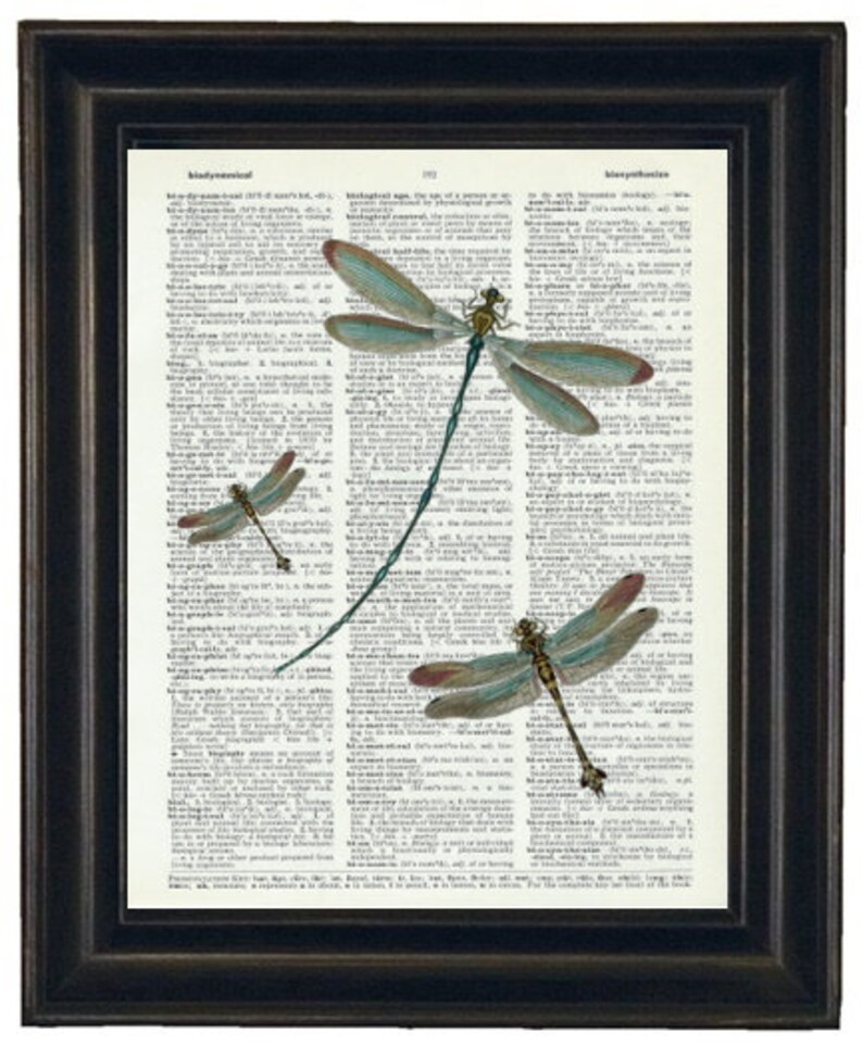 Dragonfly Art, Dictionary Art Print Dragonflies Dictionary Print Book ...