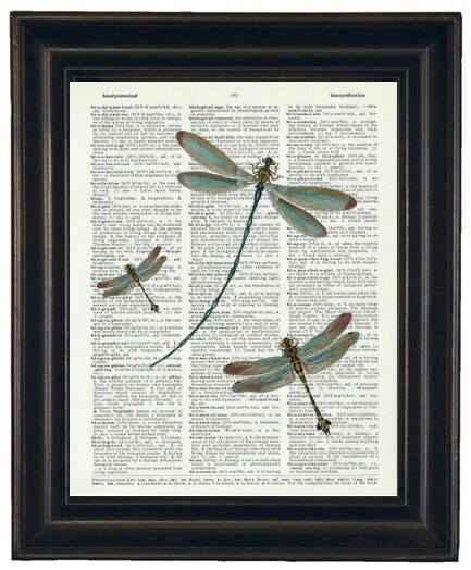 Dragonfly Art, Dictionary Art Print Dragonflies Dictionary Print Book ...