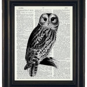 OWL Art Print Vintage Dictionary Art Dictionary Art Print Upcycled Art Book Print Owl on Vintage Dictionary Book Page 8 x 10 image 1