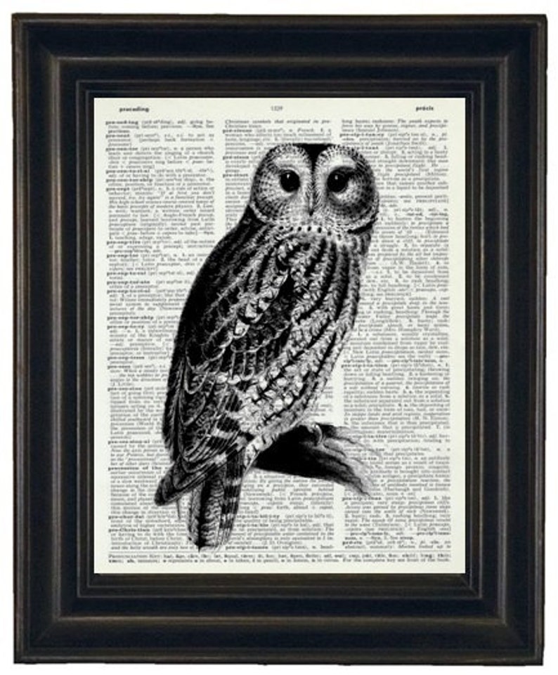 OWL Art Print Vintage Dictionary Art Dictionary Art Print Upcycled Art Book Print Owl on Vintage Dictionary Book Page 8 x 10 image 1