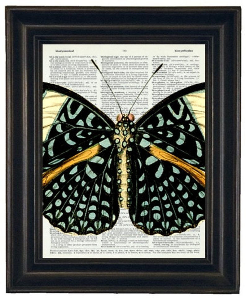 Butterfly Art Print Butterfly Dictionary Art Print Book Page Butterfly 8 x 10 Upcycle Wall Art Vintage Dictionary image 3