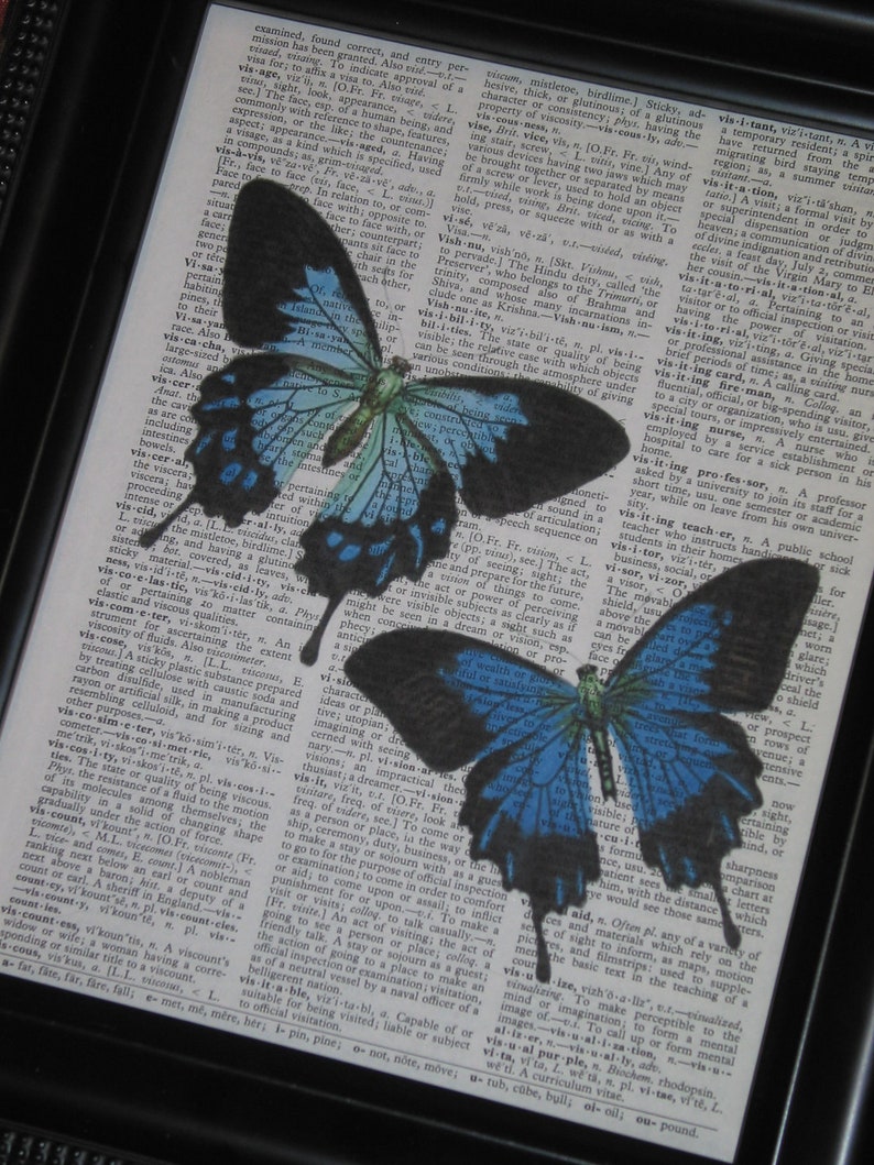 Butterfly Art Print Butterfly Dictionary Art Print Book Page Etsy