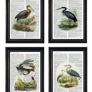 Heron Themed Prints, Heron Art Prints, Set of 4 Bird Prints, Dictionary Artwork 6.25&quot; x 9.5&quot;