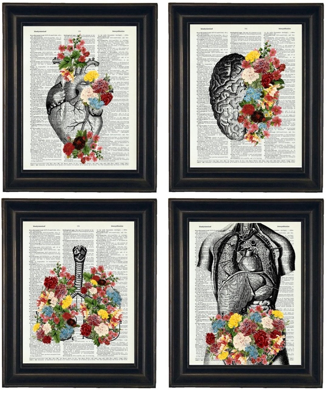 Anatomy Art With Flowers Set of Four, A HHP Original Design Anatomy Art ...