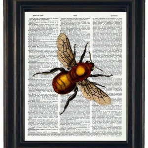 Bee Upcycled Dictionary Art Golden Bee Print on Vintage Dictionary Page 8 x 10