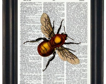 Bee Upcycled Dictionary Art Golden Bee Print on Vintage Dictionary Page 8 x 10