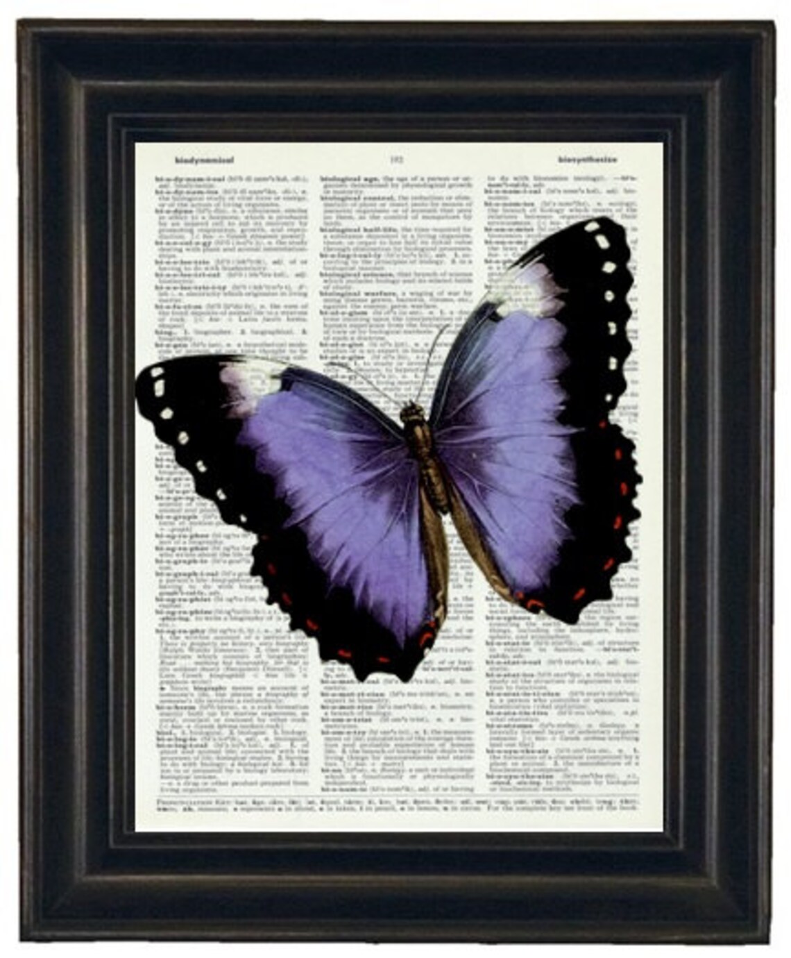 Butterfly Art Butterfly Print Dictionary Art Dictionary Etsy