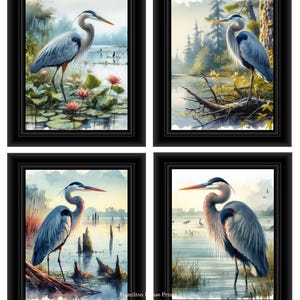 Heron Prints, Heron Theme Art, Coastal Wall Art, Heron