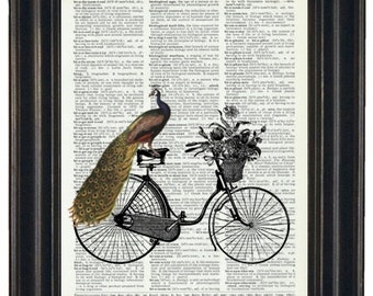 Dictionary Print Peacock Art Print Peacock and Bicycle Dictionary Art Print Peacock Decor Print HHP Original Design