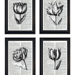 Dictionary Prints, Tulip Art Prints, Tulip Dictionary Artwork, Tulip Prints, Tulip Wall Art, Tulip Dictionary Prints, Set of 4 Tulip Prints