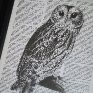 OWL Art Print Vintage Dictionary Art Dictionary Art Print Upcycled Art Book Print Owl on Vintage Dictionary Book Page 8 x 10 image 2