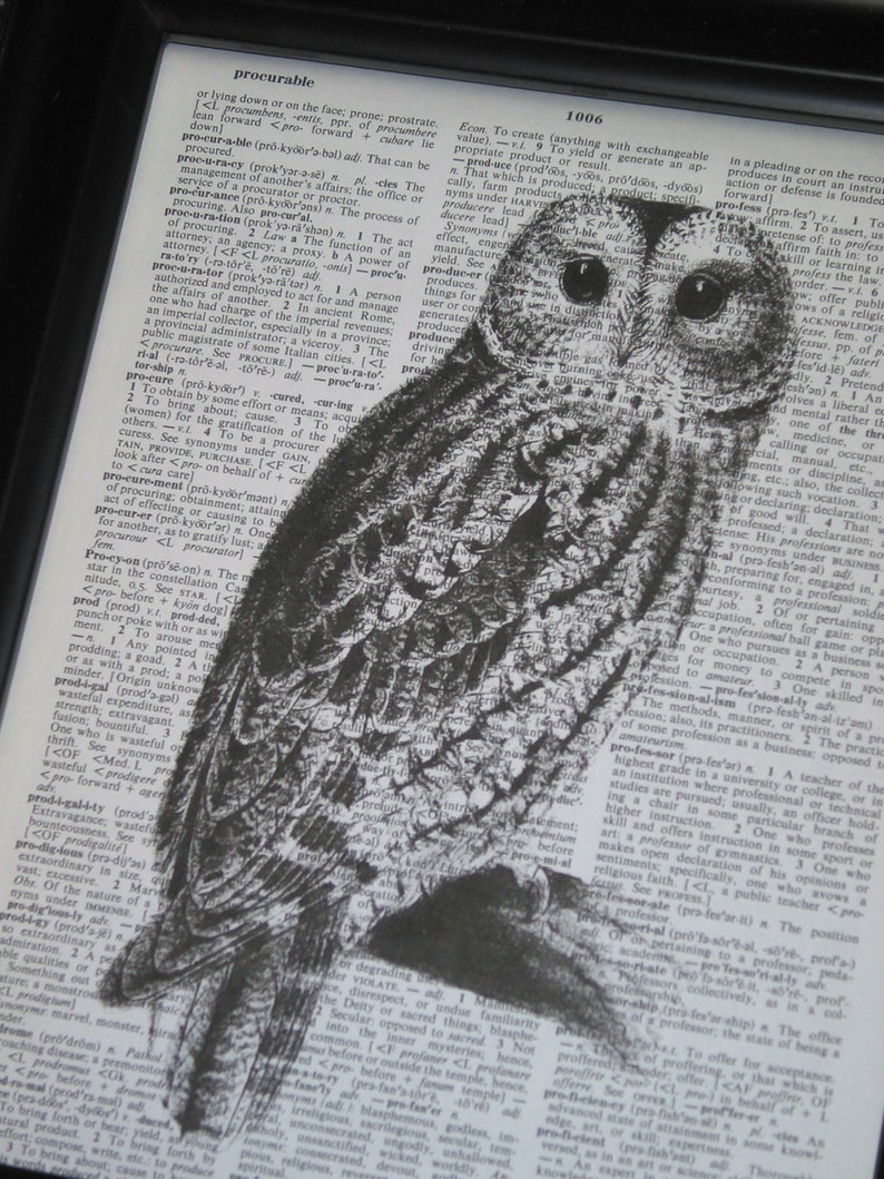 OWL Art Print Vintage Dictionary Art Dictionary Art Print Upcycled Art Book Print Owl on Vintage Dictionary Book Page 8 x 10 image 2