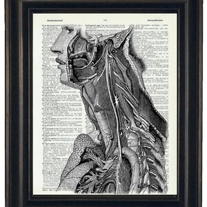 Anatomy Wall Art Prints Dictionary Art Prints Body Wall Art Prints Body Wall Art