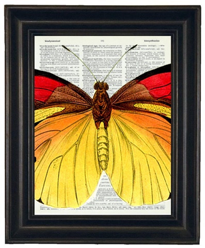 Butterfly Art Print Butterfly Dictionary Art Print Book Page Butterfly 8 x 10 Upcycle Wall Art Vintage Dictionary image 5