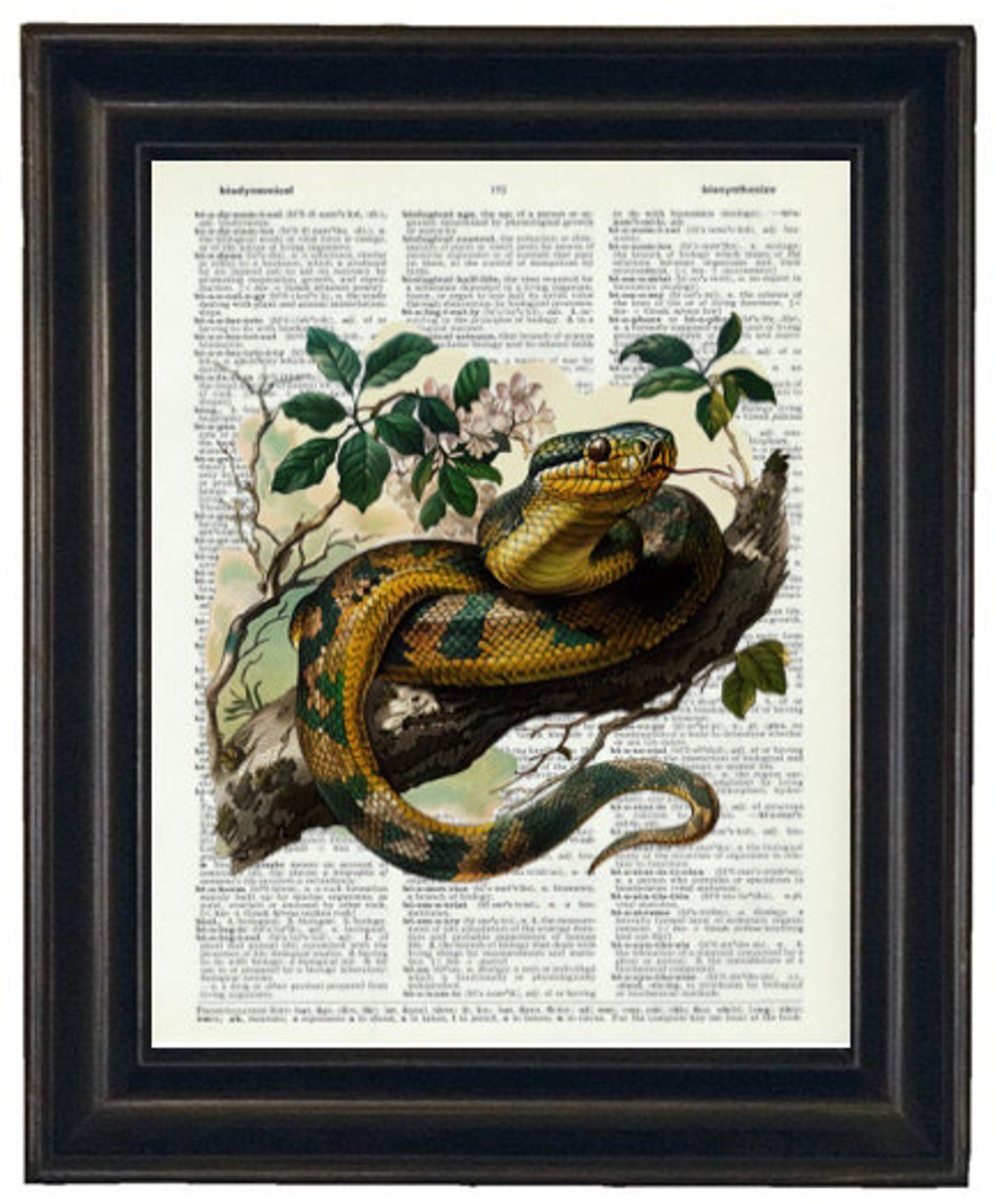 Snake Art Print, Snake Dictionary Print, Reptile Print - Etsy