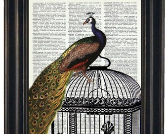 May include: A colorful peacock with a long tail of green, blue, and gold feathers perched on a black metal birdcage. The birdcage is set against a background of a vintage dictionary page.