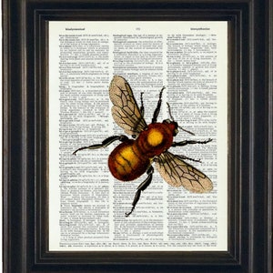Bee Wall Art, Bee Prints, Bee Wall Art, Bee
