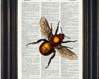 Bee Wall Art, Bee Prints, Bee Wall Art, Bee