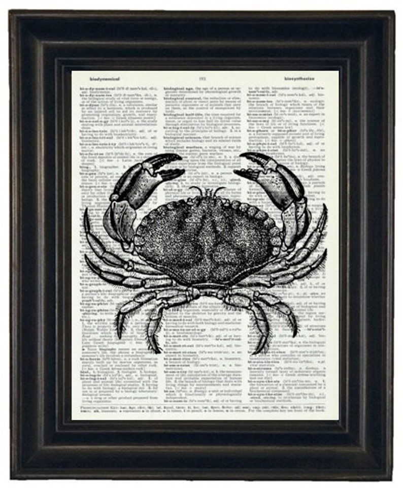 May include: Black and white illustration of a crab on a vintage dictionary page. The crab is drawn in detail with its claws outstretched. The page features text from a dictionary, including the word "biological".