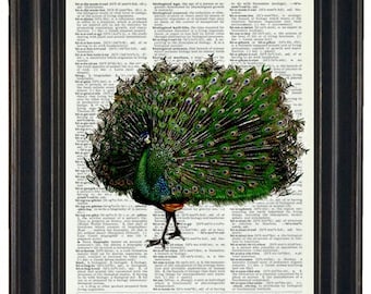Peacock Print on Vintage Dictionary Book Page 8 x 10 Dictionary Art
