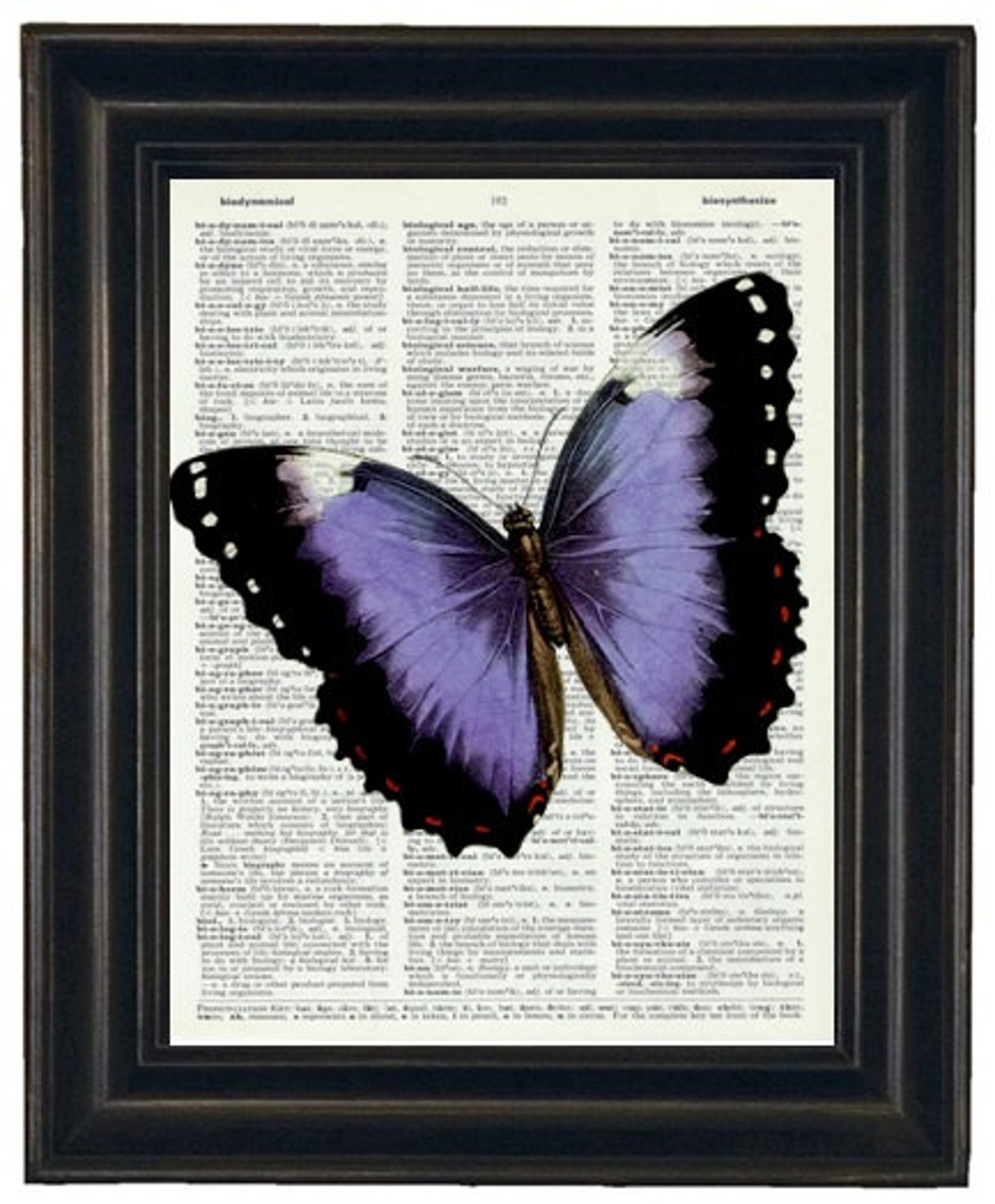 Butterfly Dictionary Art Print Book Page Upcycle Wall Art 8 x Etsy