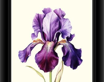 Iris Art Print, Iris Print, Botanical Art, Botanical Print, Flower Print