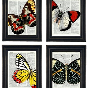 Butterfly Art, Set of 4 Art Prints,Butterfly Print Set, Butterfly Art Prints, Dictionary Art Butterfly ,  Dictionary Book Page Print 8 x 10