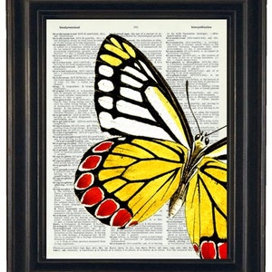Butterfly Art Print Butterfly Dictionary Art Print Book Page Butterfly 8 x 10 Upcycle Wall Art Vintage Dictionary image 4