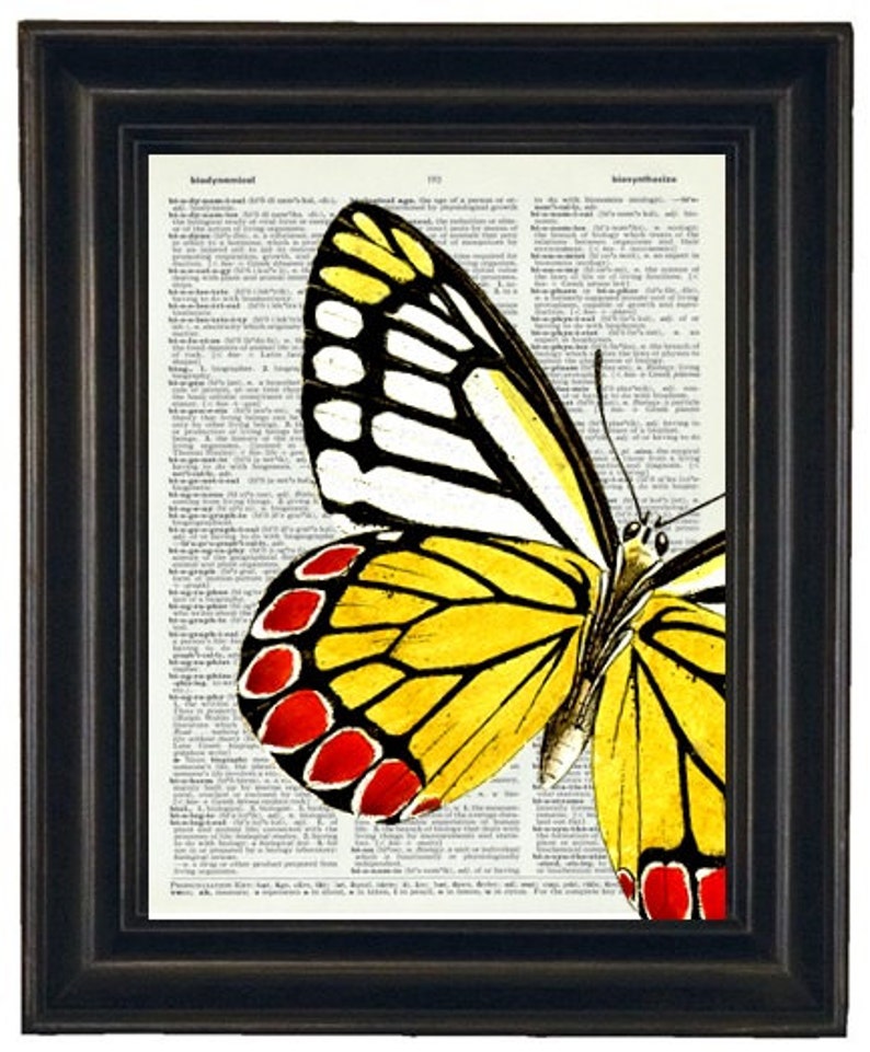 Butterfly Art Print Butterfly Dictionary Art Print Book Page Butterfly 8 x 10 Upcycle Wall Art Vintage Dictionary image 4