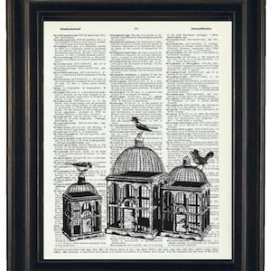 Birdcage Art Print, Birdcage Dictionary Art Print, Upcycled Dictionary Book, Art Page 8 x 10 Vintage Dictionary Print Bird, Bird Art
